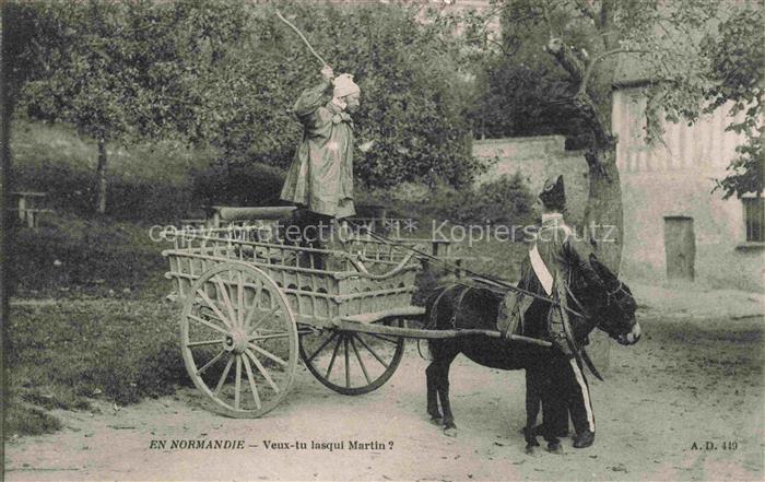 Esel Tiere En Normandie Veux lasque Martin