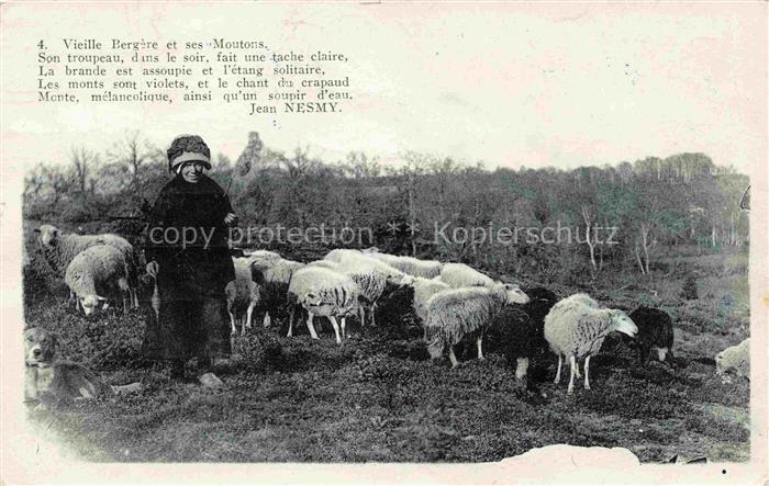 Schaeferei Sheperding Bergerie-- Nesmy Moutons