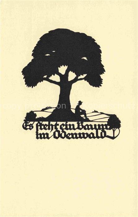 SCHWINDT A. M. Kuenstlerkarte Schattenbild Baum Odenwald