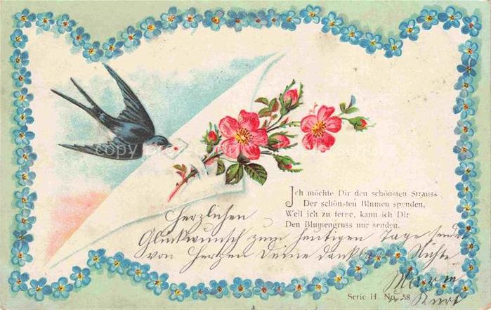 Brieftaube Carrier Pigeon voyageur-- Blumenzweig Litho