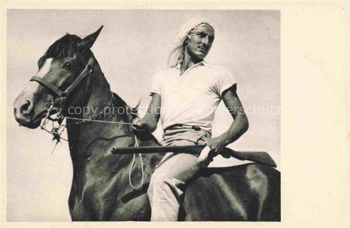 PFERDE Horses Cheval The Kvutzah Watchman