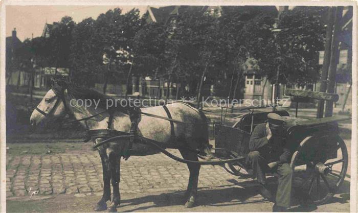 Kutsche PFERDE Horses Cheval Pause
