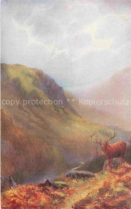 DYER William Henry (1890-1930) Kuenstlerkarte Nr. Berge Hirsch