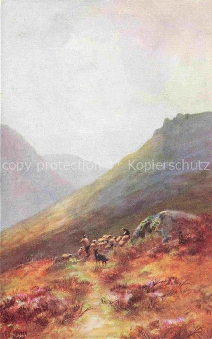 DYER William Henry (1890-1930) Kuenstlerkarte Nr. Gathering Sheep Exmoor Schaefe