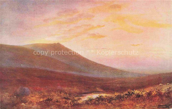 DYER William Henry (1890-1930) Kuenstlerkarte Nr. Exmoor