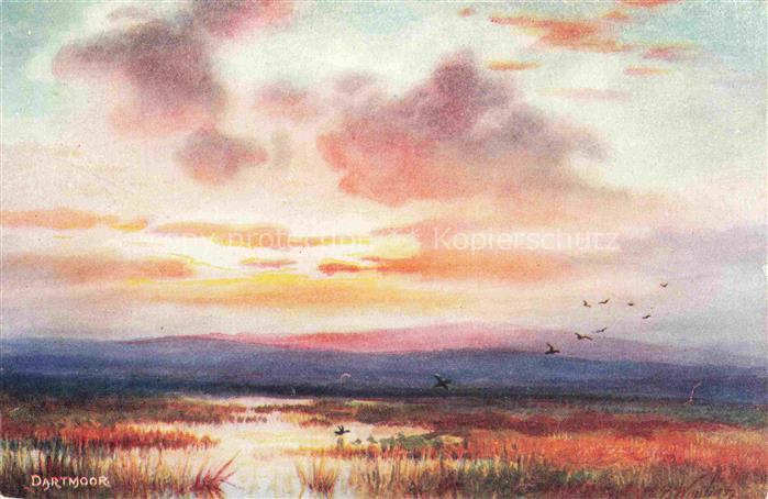 WIMBUSH Henry Bowser (1858-1943) Kuenstlerkarte UK Dartmoor