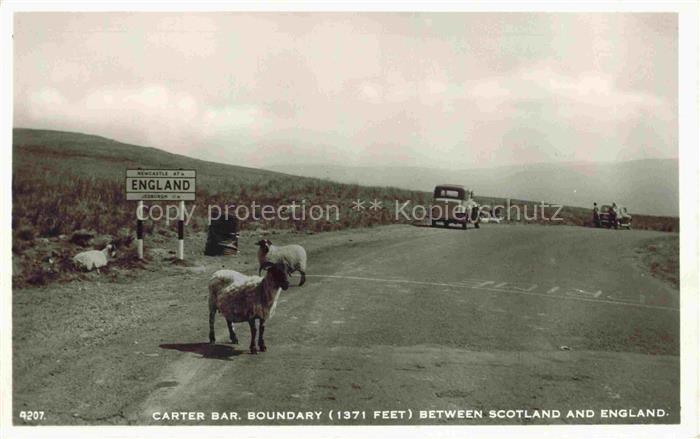 Grenze Douane Zoll Frontiere Border-- Boundary Between Scotland England Schafe