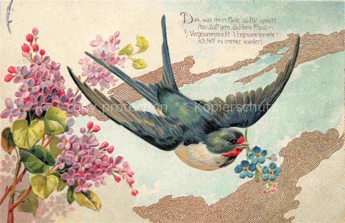 Schwalben Swallow Hirondelle Golondria Voegel Birds Oiseaux Blume Litho