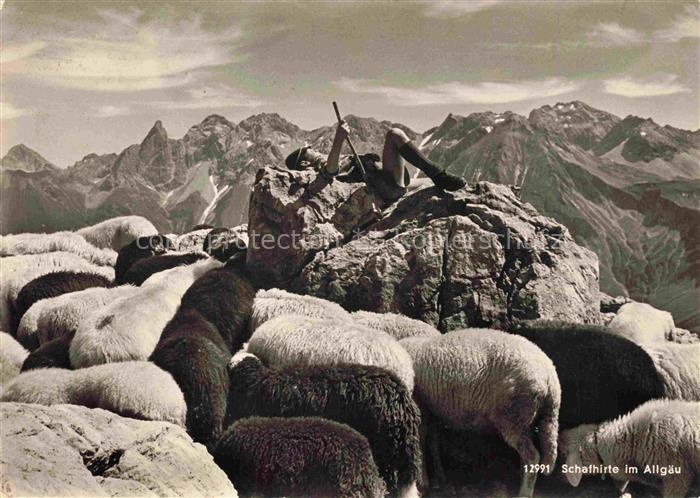Schaeferei Sheperding Bergerie-- Allgaeuer Trettach