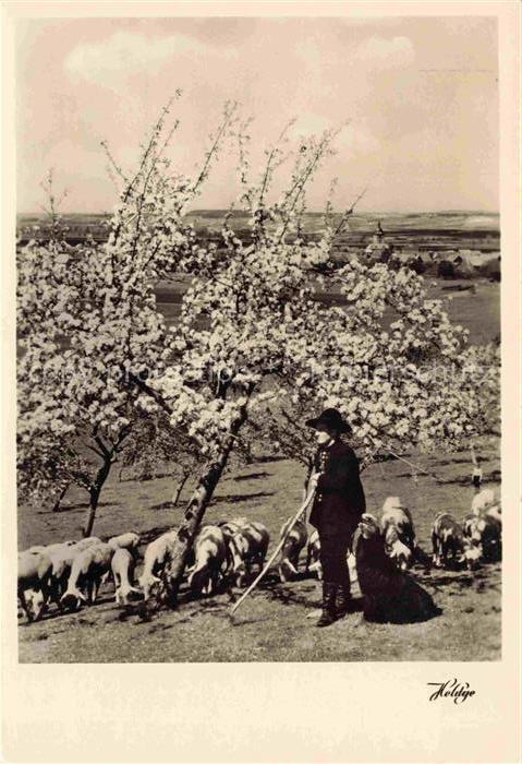 Schaeferei Sheperding Bergerie-- Heldge Koethen Anhalt