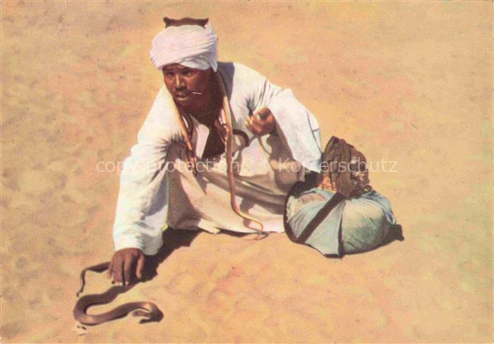 Schlangenbeschwoerer Schlangen Snakes Serpents Serpientes-- aegypten Romigal