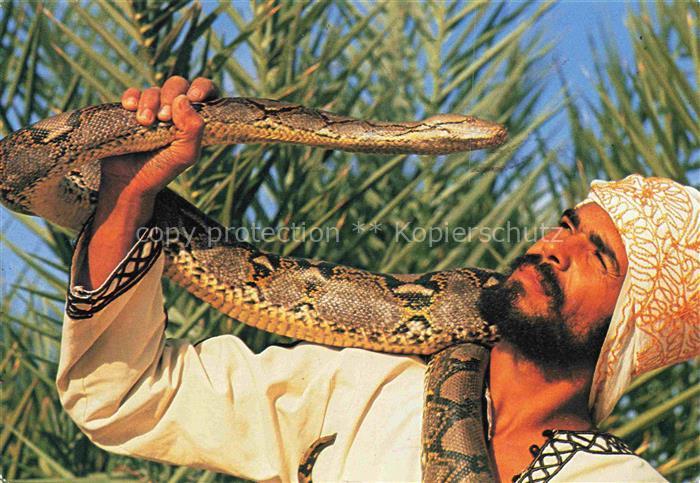 Schlangenbeschwoerer Schlangen Snakes Serpents Serpientes-- Tozeur Boubaker et s