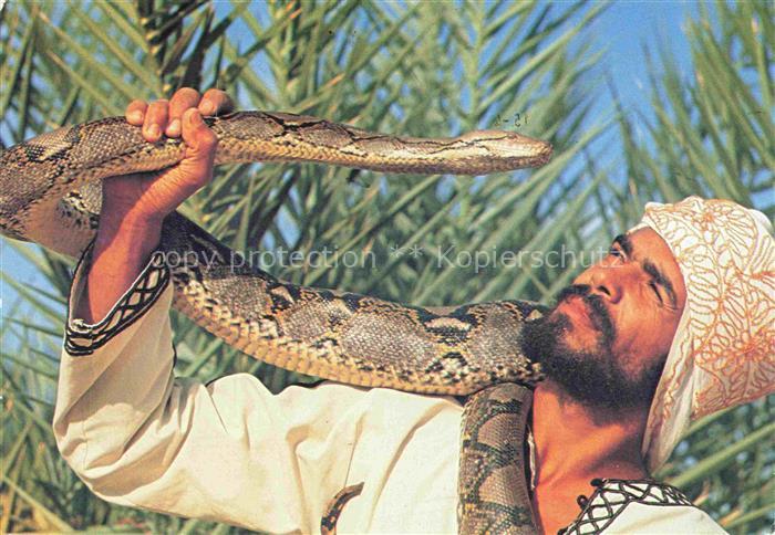 Schlangenbeschwoerer Schlangen Snakes Serpents Serpientes-- Tozeur Boubaker son
