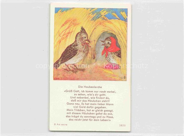 IBM BOHATTA-MORPURGO Ida (1900-1992) Kuenstlerkarte Nr. 3825 Die Haubenlerche