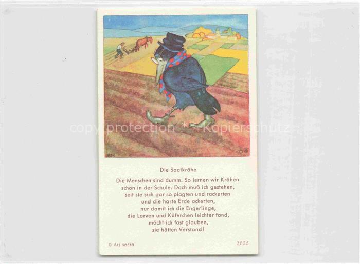 IBM BOHATTA-MORPURGO Ida (1900-1992) Kuenstlerkarte Nr. 3825 Die Saatkraehe