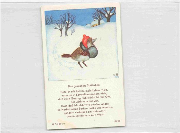 IBM BOHATTA-MORPURGO Ida (1900-1992) Kuenstlerkarte Nr. 3825 Das gekraenkte Spae