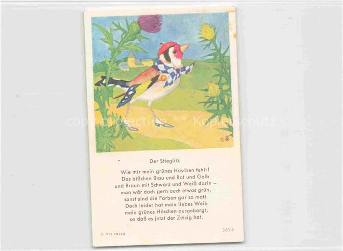 IBM BOHATTA-MORPURGO Ida (1900-1992) Kuenstlerkarte 3825 Der Stieglitz