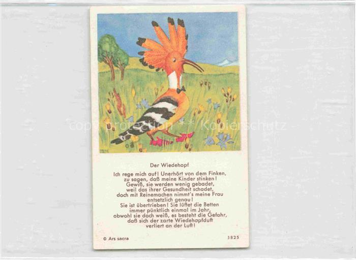 IBM BOHATTA-MORPURGO Ida (1900-1992) Kuenstlerkarte 3825 Der Wiedehopf