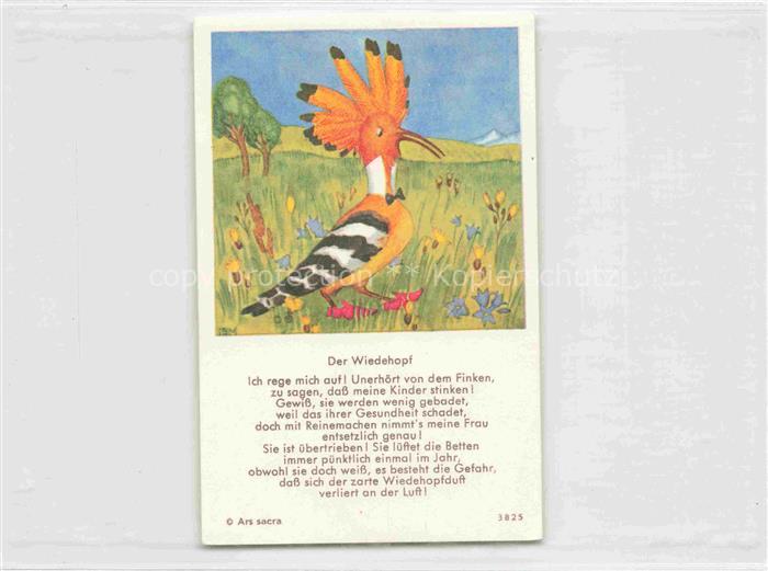 IBM BOHATTA-MORPURGO Ida (1900-1992) Kuenstlerkarte 3825 Der Wiedehopf