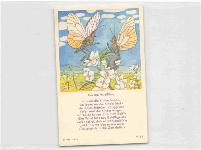 IBM BOHATTA-MORPURGO Ida (1900-1992) Kuenstlerkarte Nr. 9764 Der Baumweissling