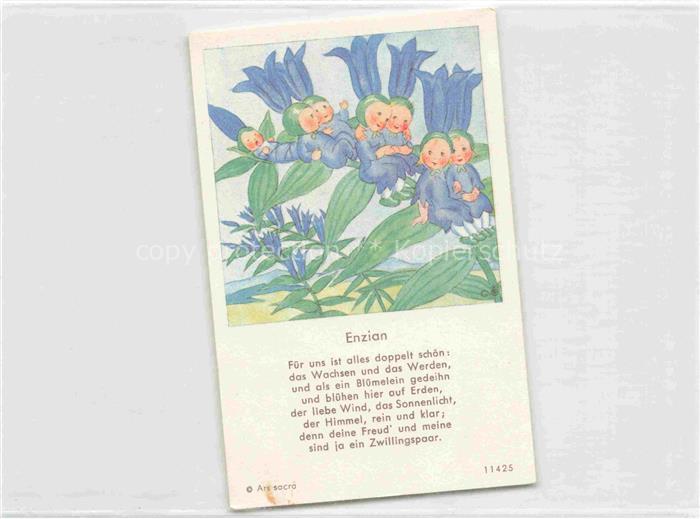 IBM BOHATTA-MORPURGO Ida (1900-1992) Kuenstlerkarte Nr. 11425 Enzian