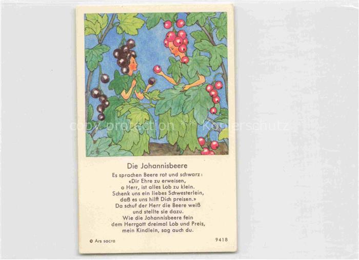 IBM BOHATTA-MORPURGO Ida (1900-1992) Kuenstlerkarte Nr. 9418 Die Johannisbeere