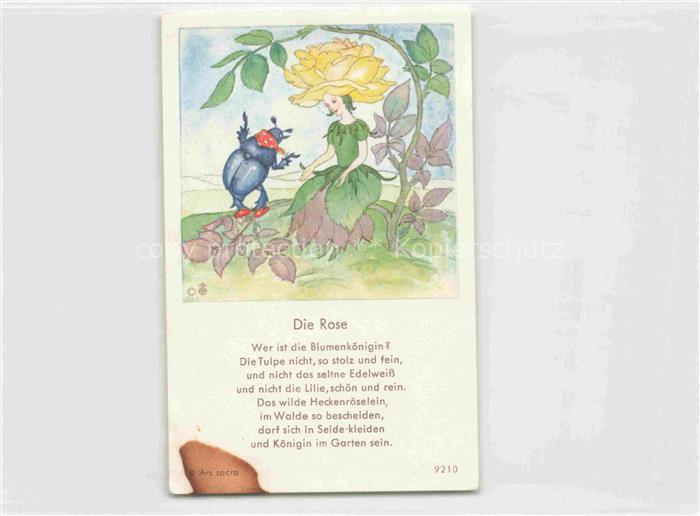 IBM BOHATTA-MORPURGO Ida (1900-1992) Kuenstlerkarte Nr. 9210 Die Rose Kaefer