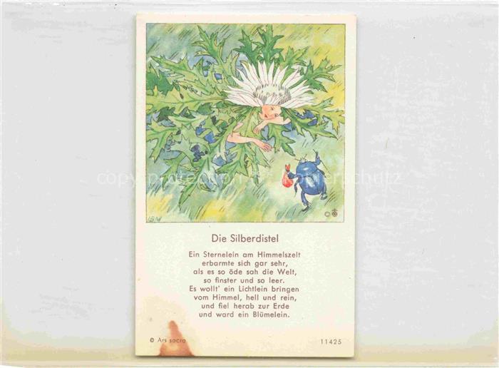IBM BOHATTA-MORPURGO Ida (1900-1992) Kuenstlerkarte Nr. 11425 Die Silberdistel