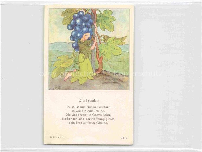 IBM BOHATTA-MORPURGO Ida (1900-1992) Kuenstlerkarte Nr. 9418 Die Traube