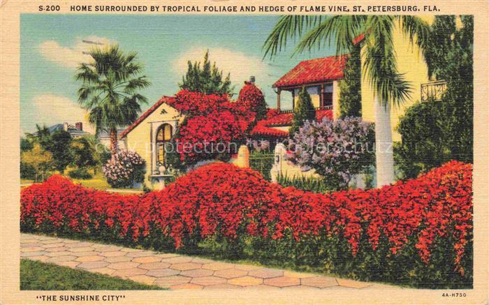 St Petersburg Florida USA Home surrounded by tropical foliage and hedge of flame