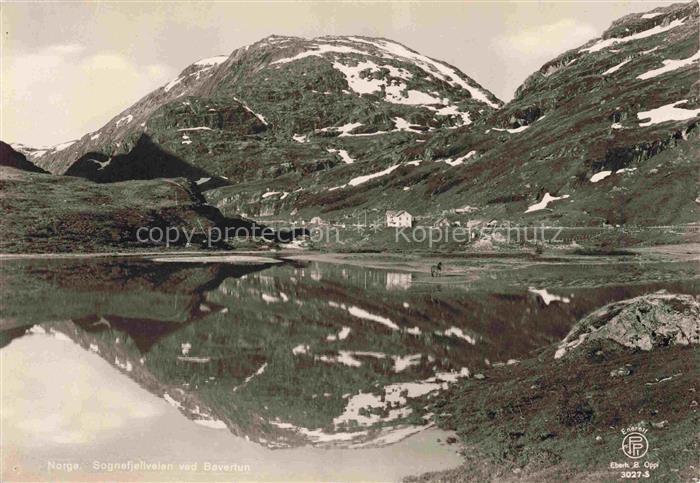 Sognefjellvegen Sognefjord Norge Sognefjellveien ved Bovertun