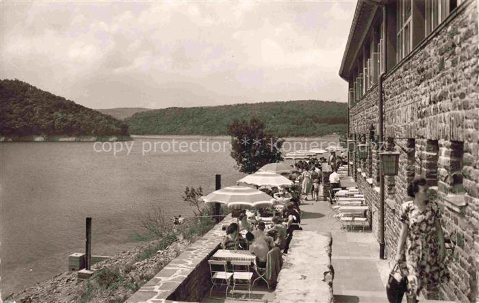 Hasenfeld Heimbach Eifel NRW Rursee Schwammenauel