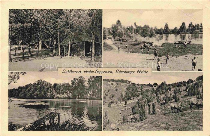 Holm-Seppensen Buchholz Nordheide Harburg Niedersachsen Teilansichten Seepartien