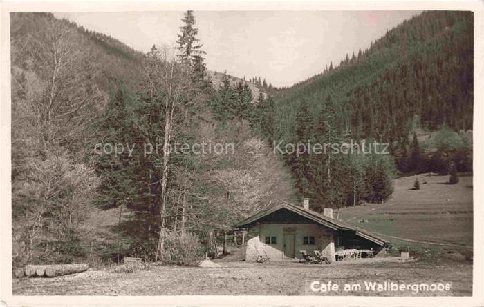 Rottach-Egern Tegernsee Bayern Cafe am Wallbergmoos