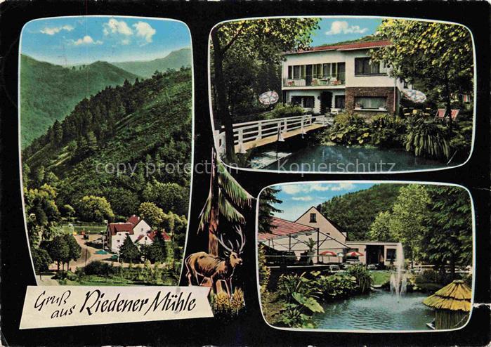 Mayen Eifel Rheinland-Pfalz Hotel Riedener Muehle Panorama Schwanenteich
