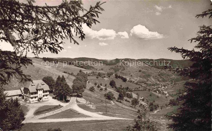 Schoenau Schwarzwald Berghotel Wiedener Eck Panorama