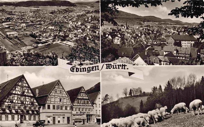 Ebingen Albstadt BW Fliegeraufnahme Panorama Fachwerkhaeuser Schafherde