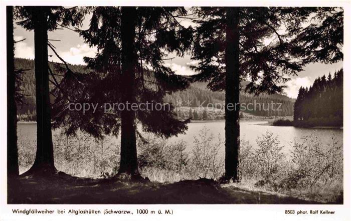 Altglashuetten Feldberg Schwarzwald Windgfaellweiher