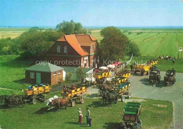 Insel Neuwerk Cuxhaven Nordseebad Wattwagen auf der Turmwurt