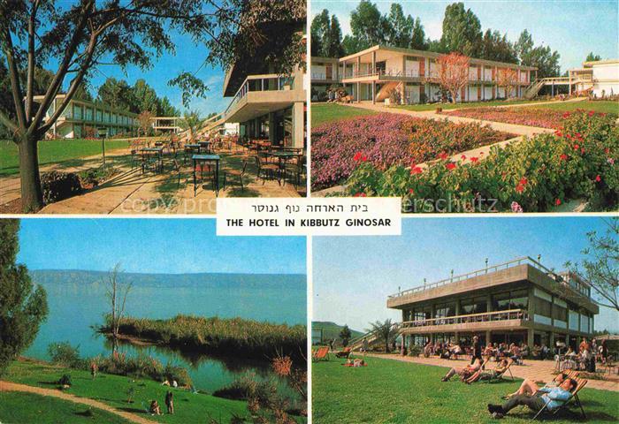 Ginosar Kibbutz Ginosar Israel The Hotel Panorama Park Liegewiese