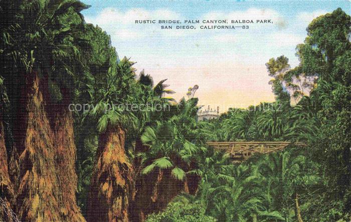 SAN DIEGO California USA Rustic Bridge Palm Canyon Balboa Park