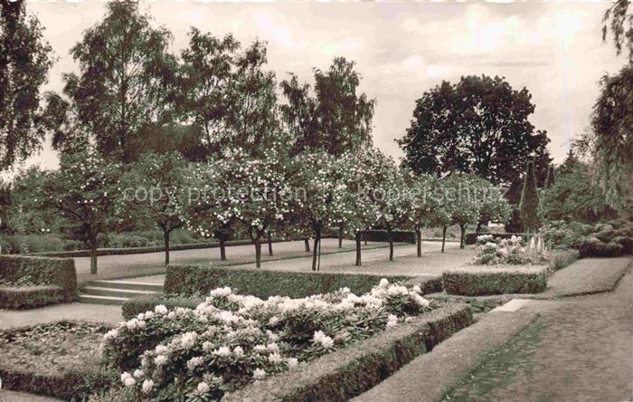 Bad Meinberg Horn-Bad Meinberg NRW Wald neuer Kurpark