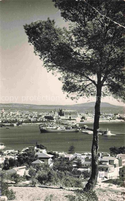 Palma de Mallorca ES Panorama