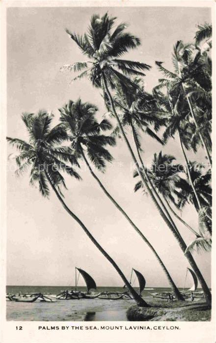 Mount Lavinia Ceylon Sri Lanka Palms by the Sea