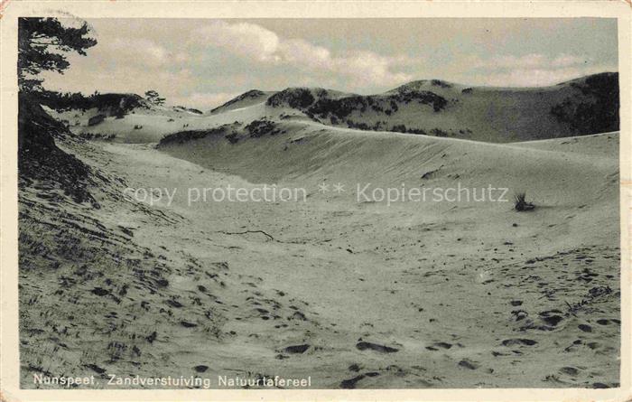 Nunspeet Gelderland NL Zandverstuiving Natuurtafereel