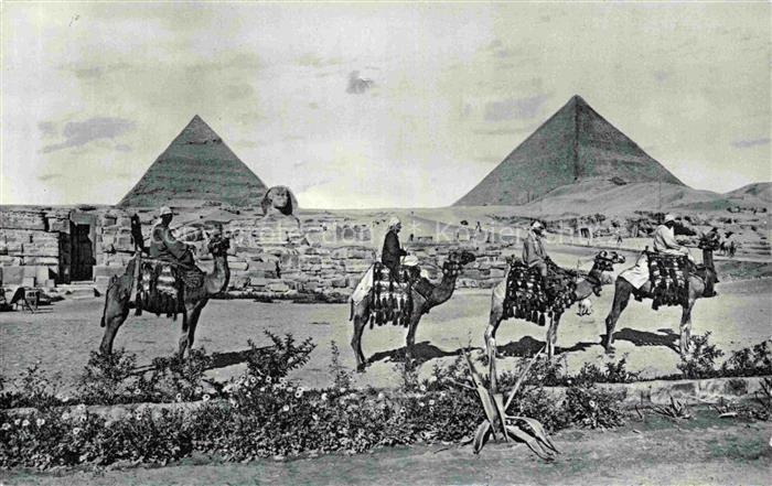 Giza Gizeh Egypt Kamele Pyramiden