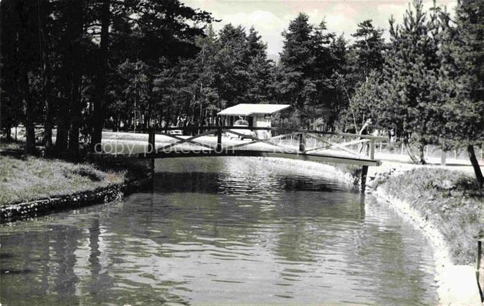 Sobec Lesce Slovenija Camping