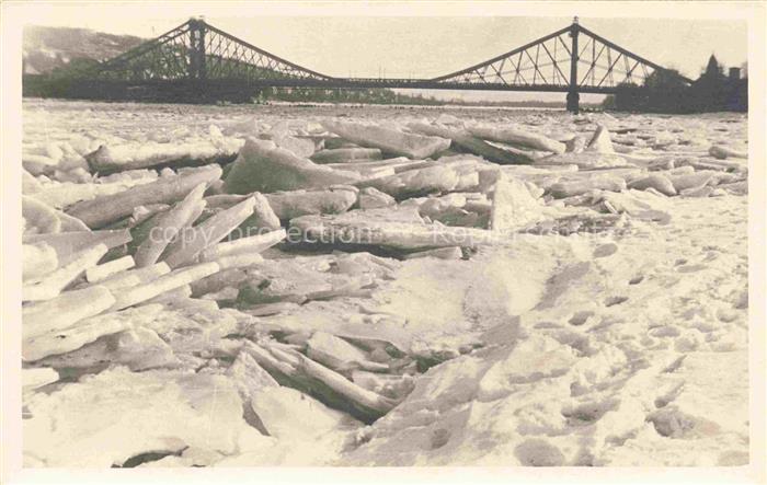 DRESDEN Elbe Zugefrorene Elbe mit Bruecke