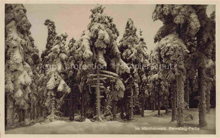 Neustadt Rennsteig Thueringen Im verschneiten Maerchenwald