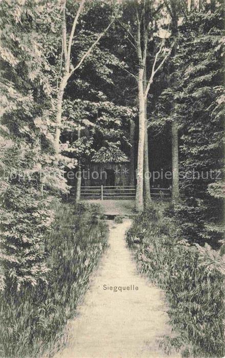 Laasphe BAD LAASPHE NRW Siegquelle